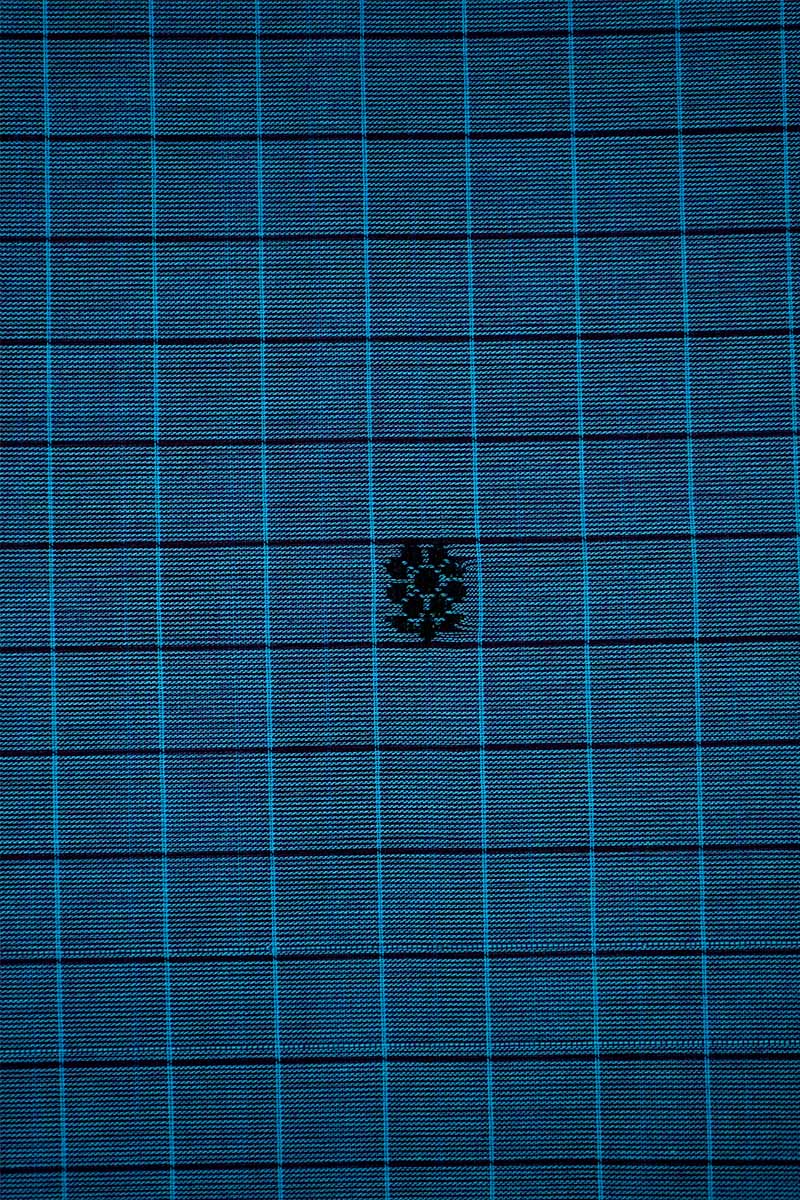 LIGHT BLUE WITH VIOLET GANGA JAMUNA KANCHI COTTON SAREE - Queens Jewel Emporium