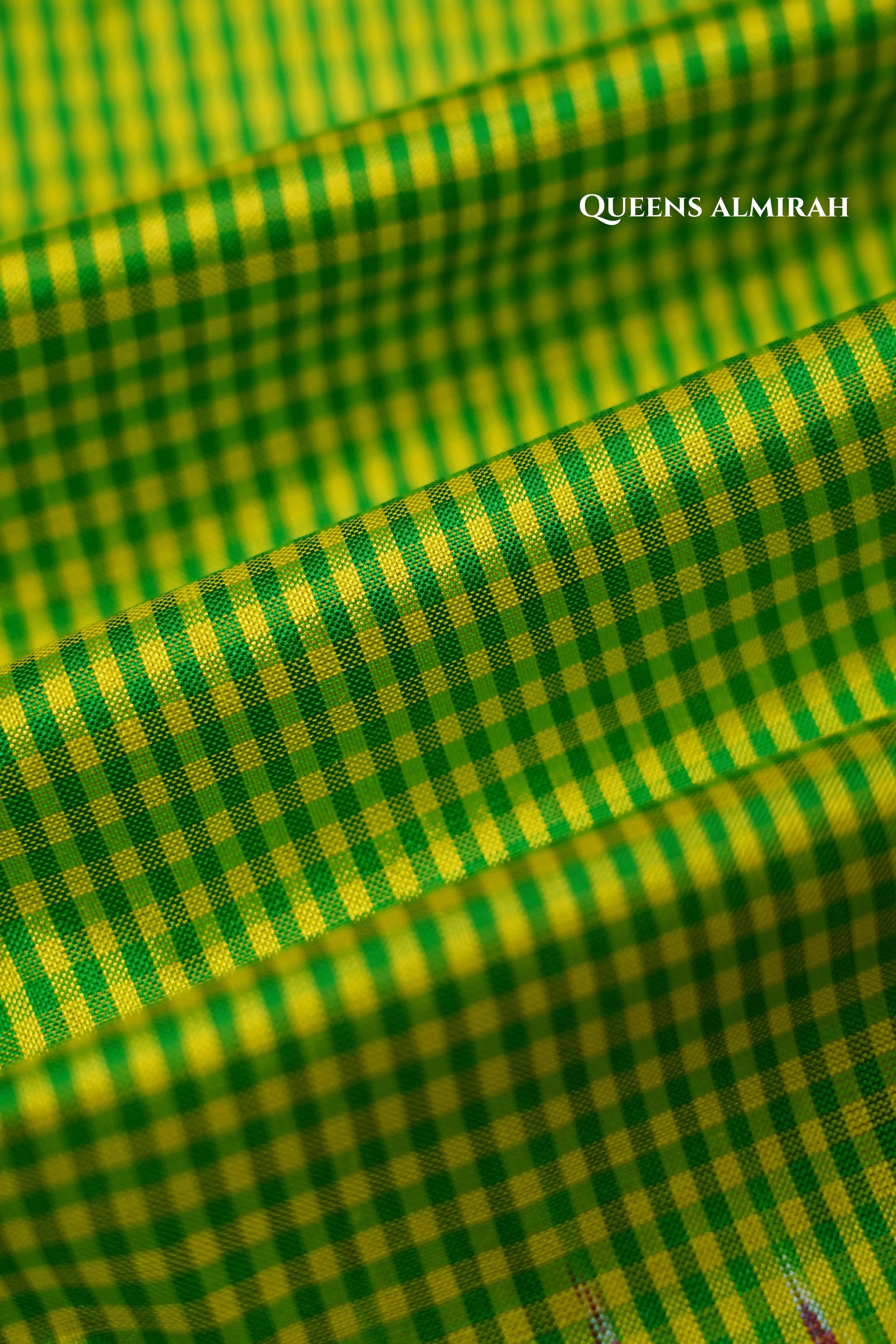 Parrot Green Checks With Warm Purple Pure Ikat Silk Saree - Queens Jewel Emporium