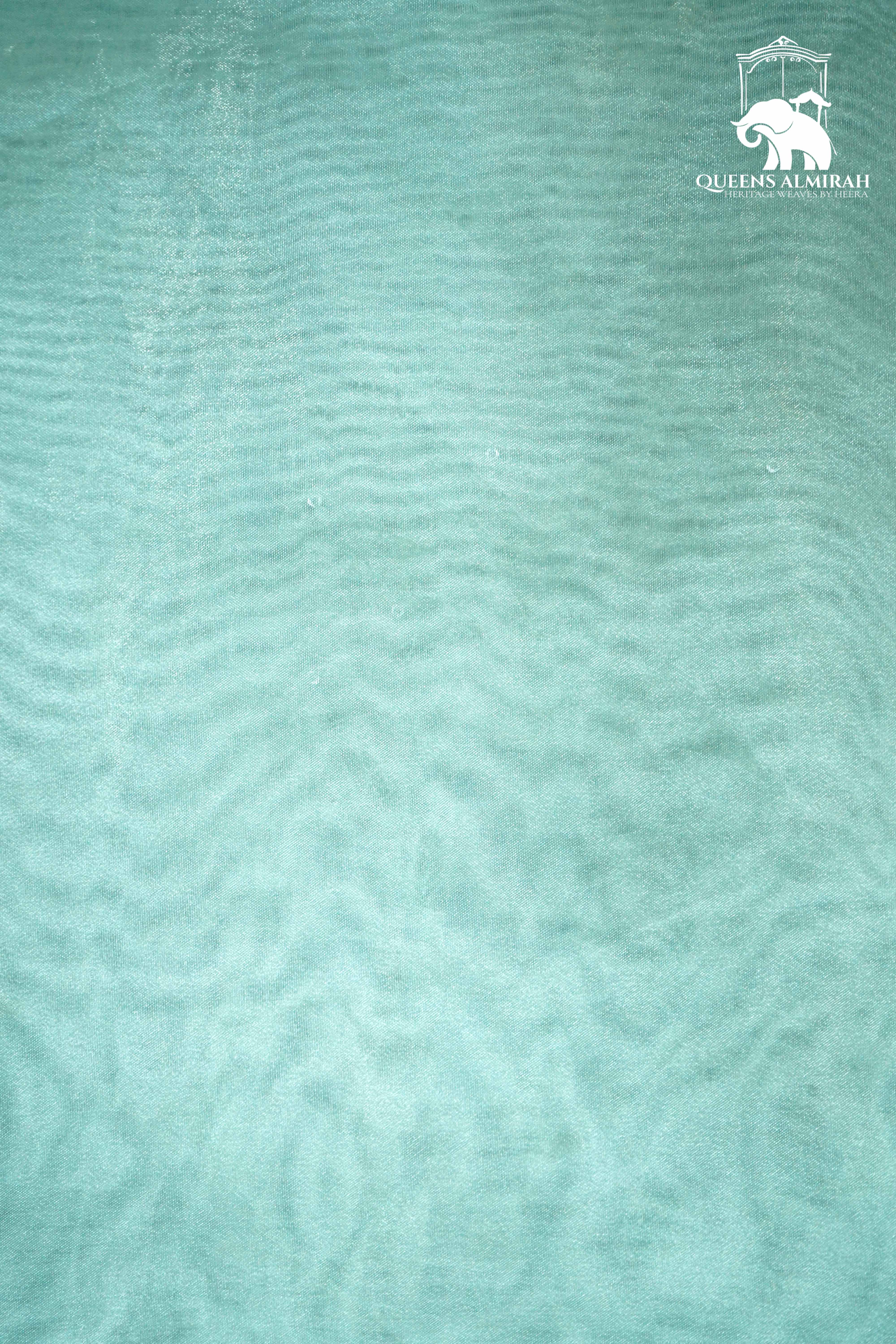 SEAFOAM GREEN WITH SCALLOP BORDER ORGANZA SAREE - Queens Jewel Emporium