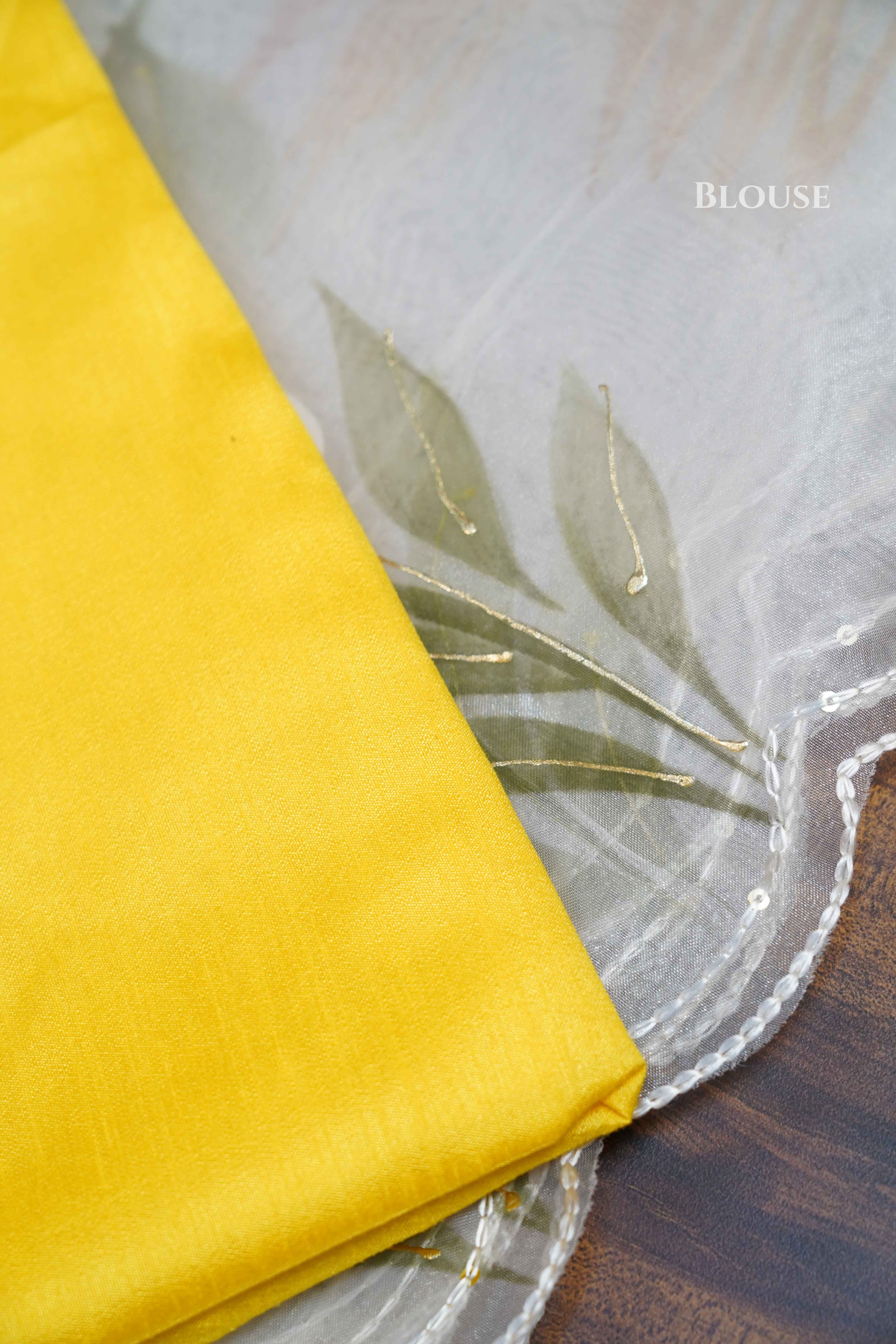 WHITE HAND PAINTED ORGANZA SAREE - Queens Jewel Emporium