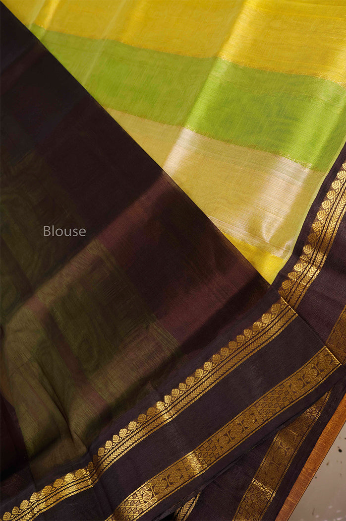 Multi Color With Black Gap Border Pure Silk Cotton Saree