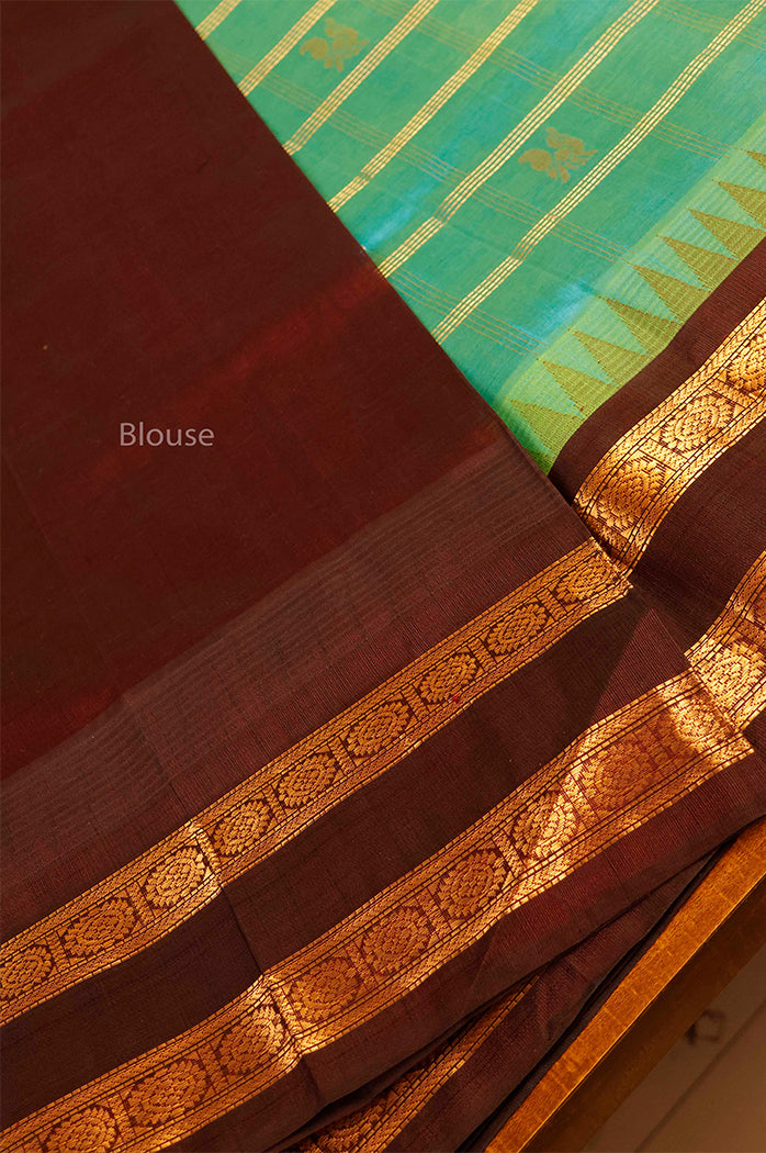 Sea Blue With Cocoa Bean Pure Silk Cotton Saree