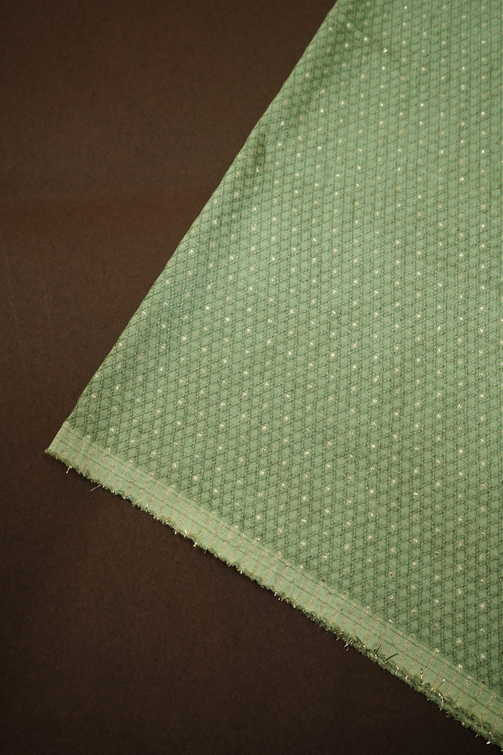 GREEN SMOKE WITH EMBROIDERY BORDER TISSUE SAREE - Queens Jewel Emporium