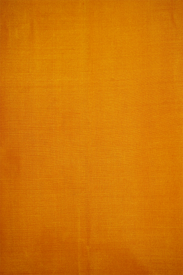 DIRTY ORANGE WITH RUST BROWN PURE KANCHIVARAM SILK SAREE - Queens Jewel Emporium