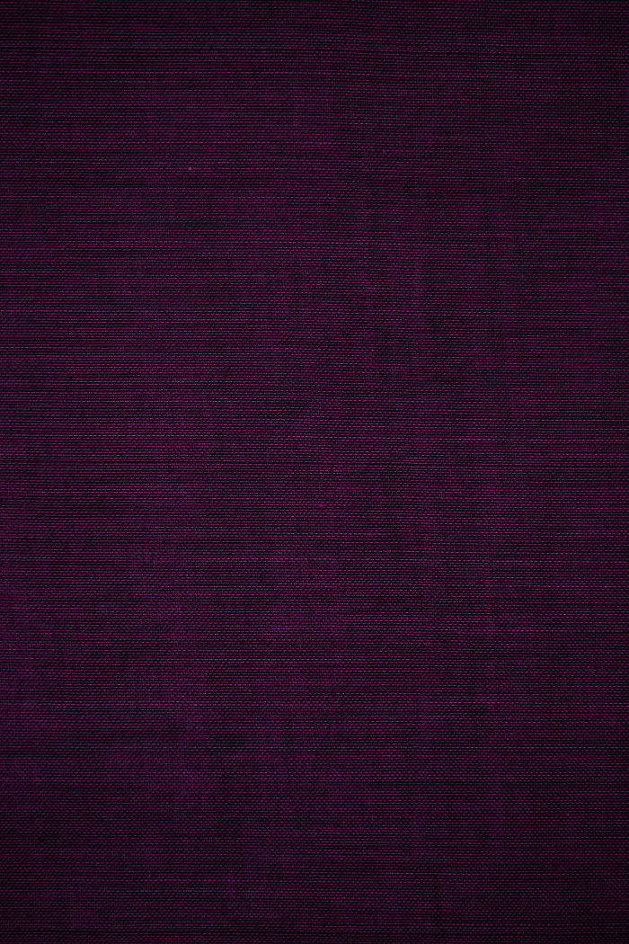 EGGPLANT PURPLE WITH BLACK BORDER NARAYANPET COTTON SAREE - Queens Jewel Emporium