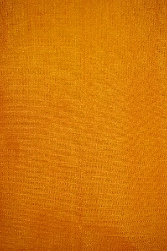 DIRTY ORANGE WITH RUST BROWN PURE KANCHIVARAM SILK SAREE - Queens Jewel Emporium