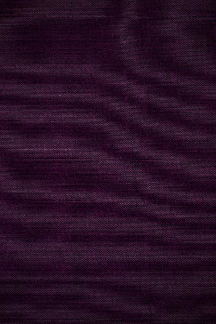 EGGPLANT PURPLE WITH BLACK BORDER NARAYANPET COTTON SAREE - Queens Jewel Emporium