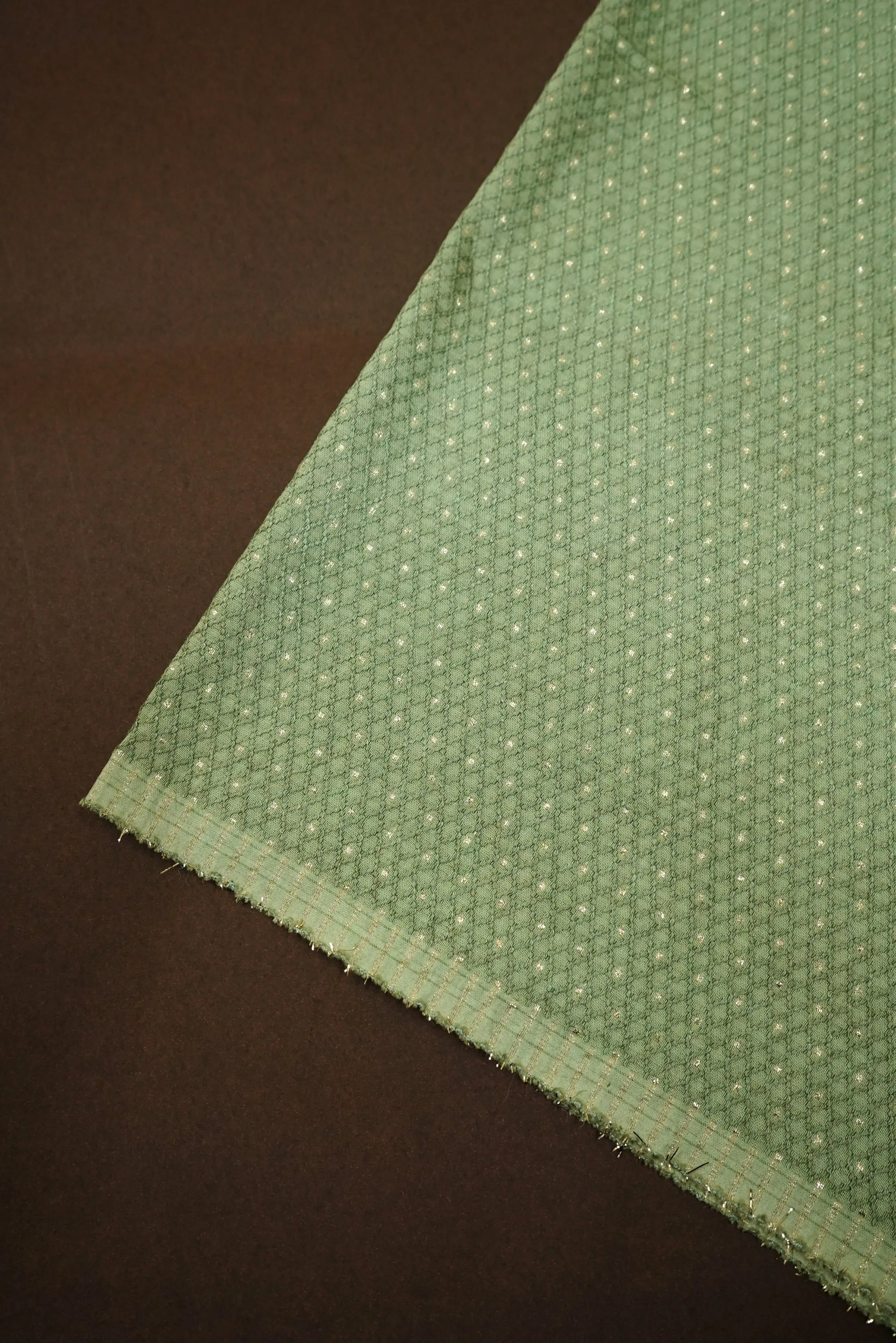 GREEN SMOKE WITH EMBROIDERY BORDER TISSUE SAREE - Queens Jewel Emporium