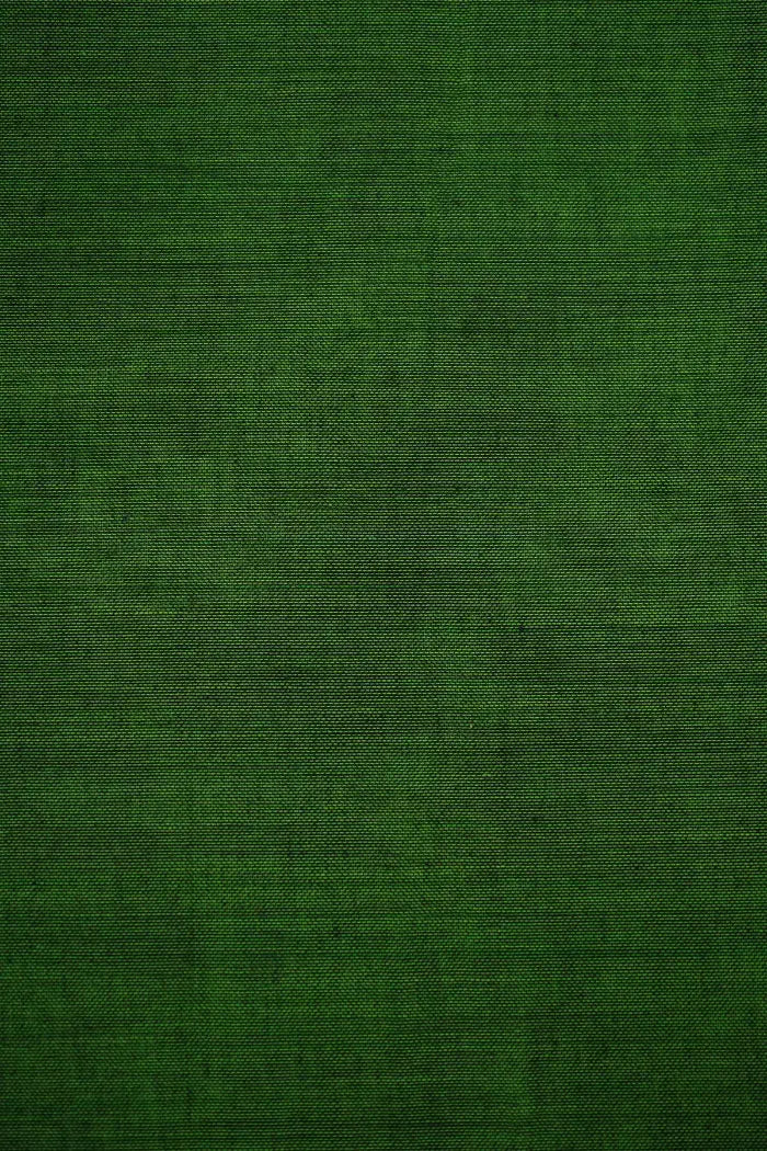 MOSS GREEN WITH RED BORDER NARAYANPET COTTON SAREE - Queens Jewel Emporium